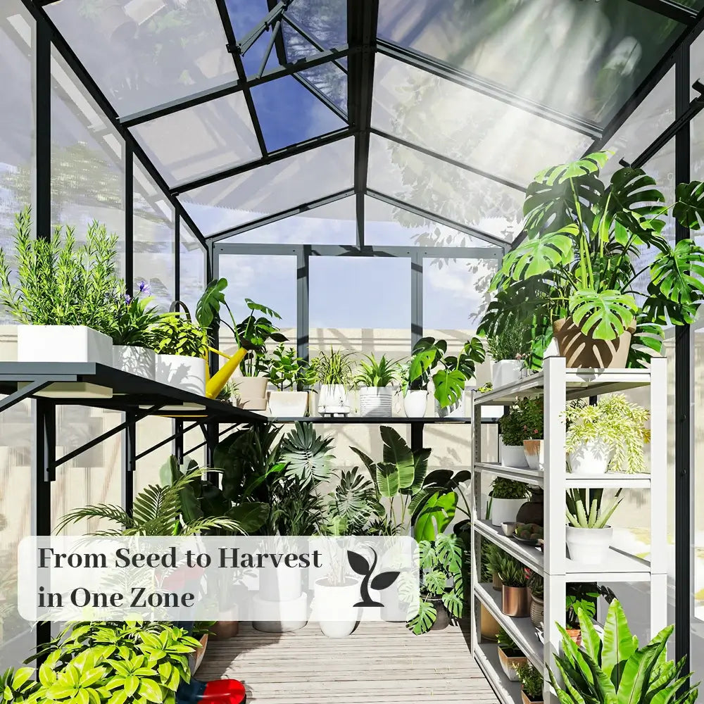 Domi Outdor Living Polycarbonate Greenhouse#size_8x10FT