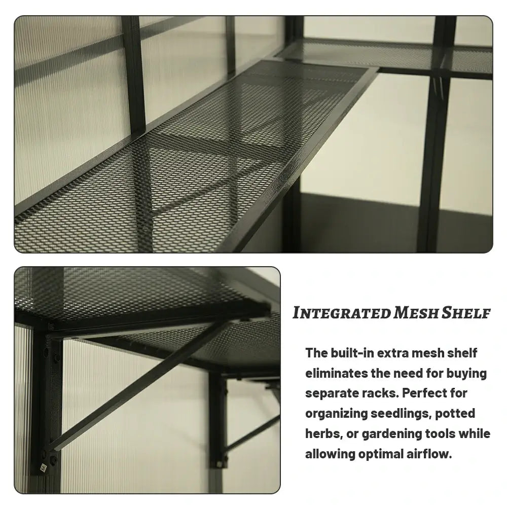 Domi Outdor Living Polycarbonate Greenhouse#size_8x10FT